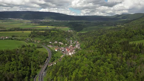 neuchâtel city in switzerland swiss countryside, aerial beautiful green forest