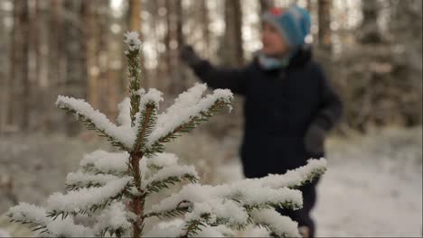 the child was playing with a stick in the forest