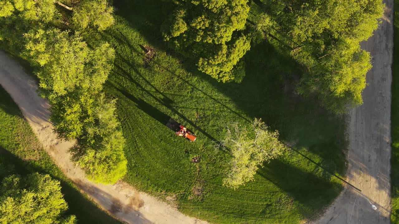 toma aérea de arriba hacia abajo del tractor cortando hierba en el parque durante el día soleado por la noche - paisaje idílico con árboles verdes en verano y camino de arena