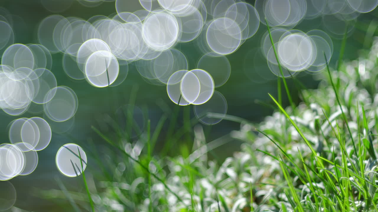 A gently flowing river in the background with a dynamic "soapy bokeh" effect, its circular light reflections dance and shimmer across the water's surface