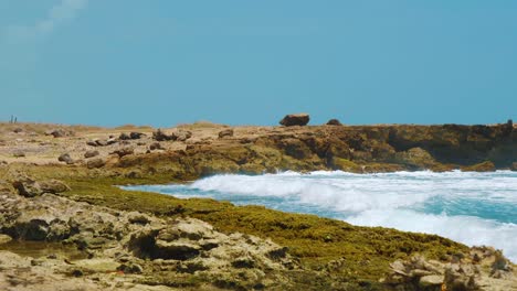 curacao - olas golpeando la orilla llenas de sargazo bajo el cielo azul - primer plano