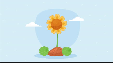 animación de plantas de jardín de girasoles en la naturaleza