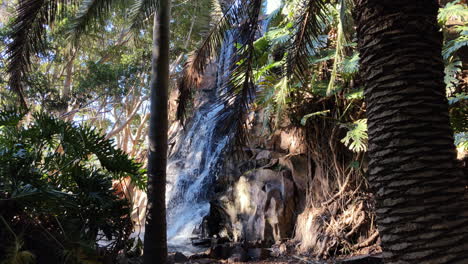 low angle shot of waterfall surrounded by palm trees, toowoomba queensland