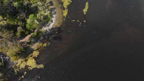 Vista-Aérea-De-Pájaros-Toma-De-Algas-En-Las-Orillas-De-Un-Lago-Australiano