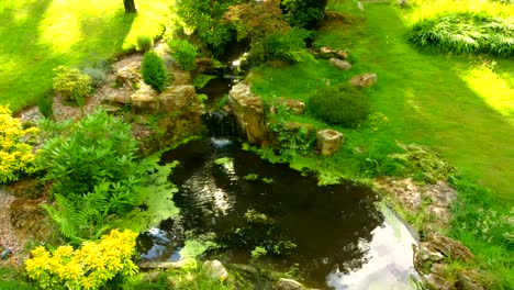 precioso arroyo de estanque paso a paso en un hermoso jardín verde
