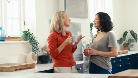 loving same sex mature female couple drinking coffee and talking in kitchen together