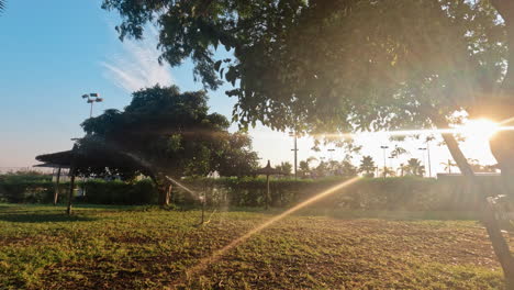 dispositivos de riego en el parque de la ciudad a primera hora de la mañana