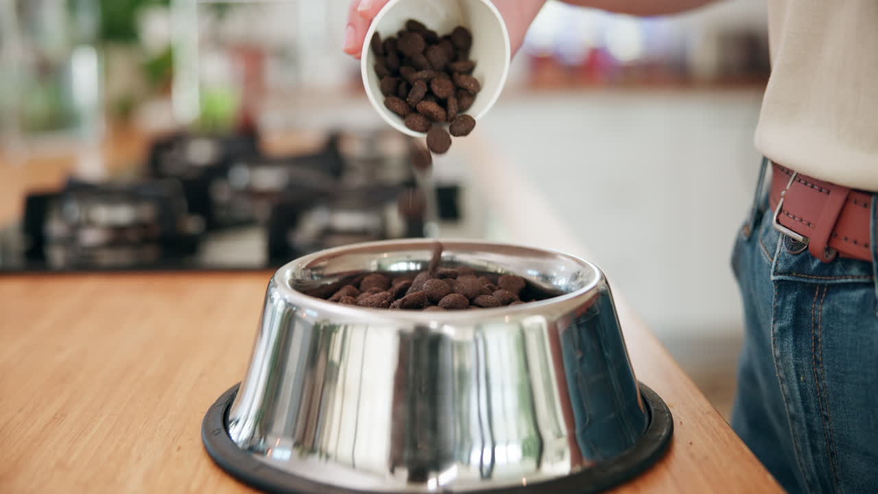 Filling a dog bowl with kibble
