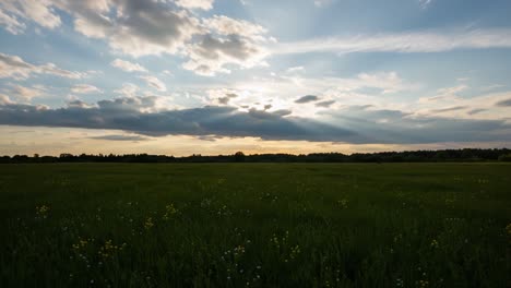 a breath of fresh air: captivating landscape of a sunlit field under a majestic sky with cloud patterns and golden light casting long shadows