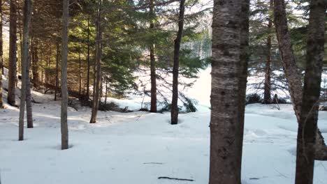 aerial fly through weaves through trees follows small creek into open snow landscape