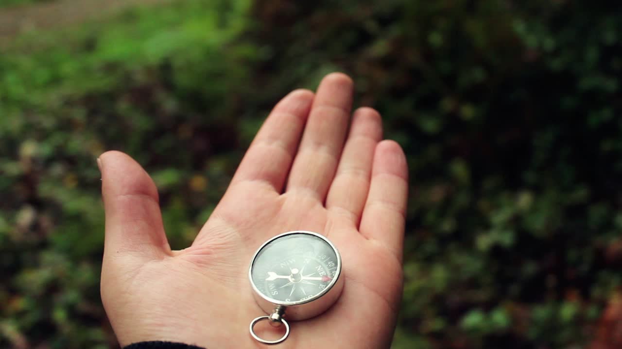 el viajero sostiene el parque forestal de la brújula