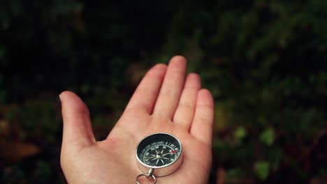 traveler holding compass forest park