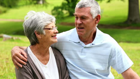 Affectionate-senior-couple-chatting-in-the-park-