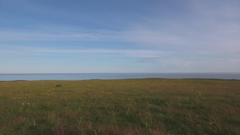 meadow on top of hill in the summer evening to the baltic sea, in south sweden skåne österlen kåseberga near ales stenar, aerial low from close to ground to far from sea level