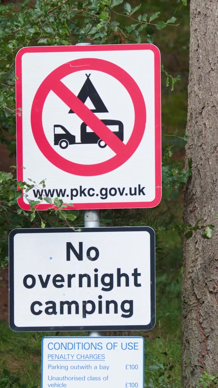 Warning sign prohibits overnight camping in wooded area, natural daylight, slight camera movement, outdoor setting