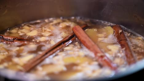 Una-Toma-Estacionaria-De-Cocinar-Los-Ingredientes-Mezclados-Para-Hacer-Licor-De-Jengibre-En-Una-Olla-De-Acero-Inoxidable