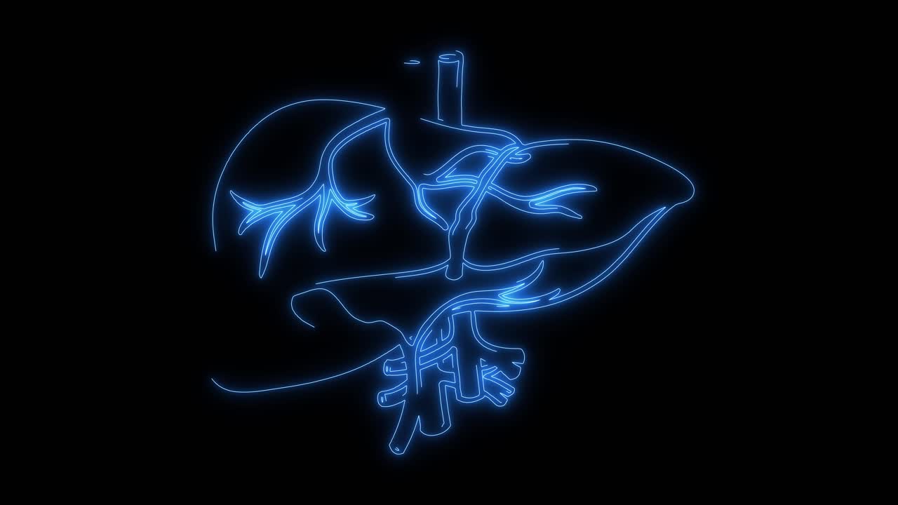 Animated Blue Neon Outline of Human Liver Anatomy