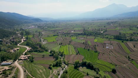 árboles-Verdes-En-Medio-De-Terreno-Agrícola