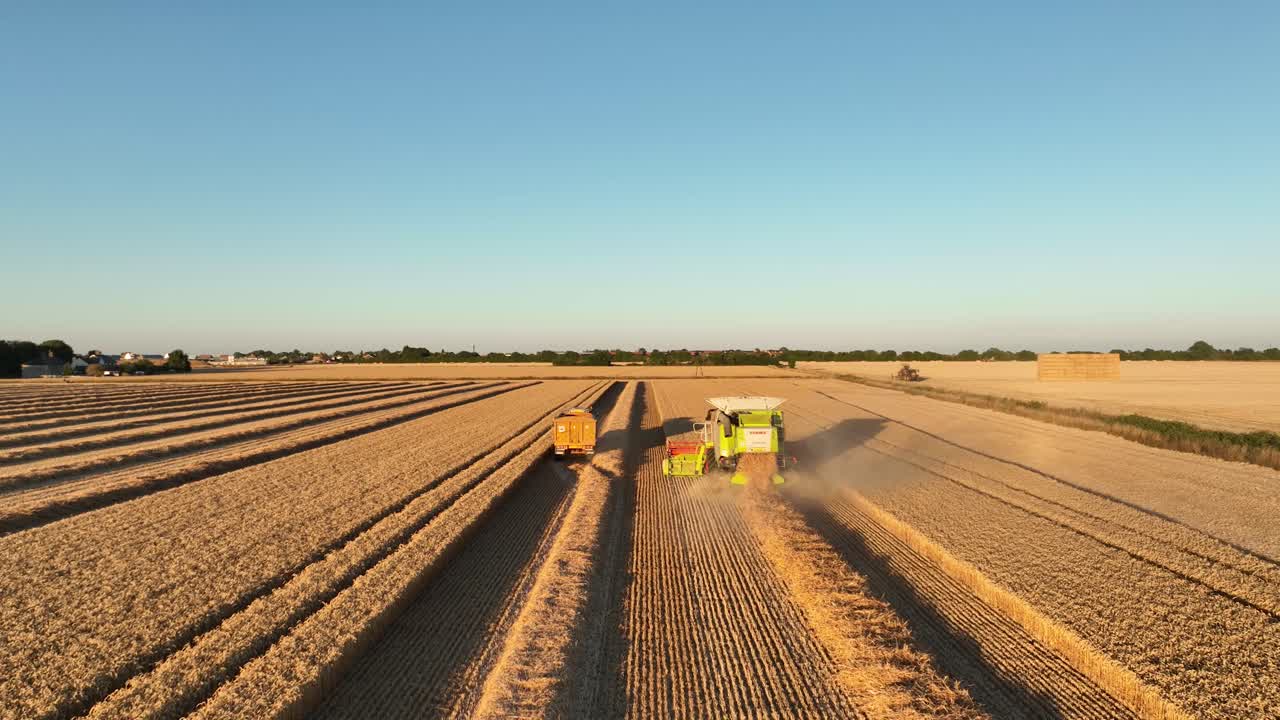 Drone view of combine harvester and tractor at work in farm land, afternoon