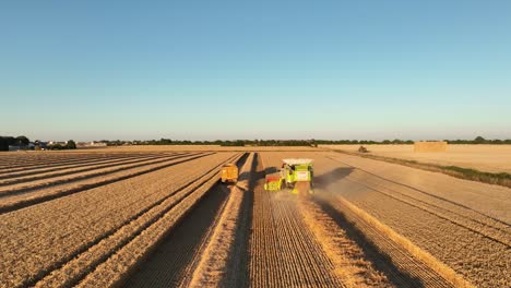 drone view of combine harvester and tractor at work in farm land, afternoon
