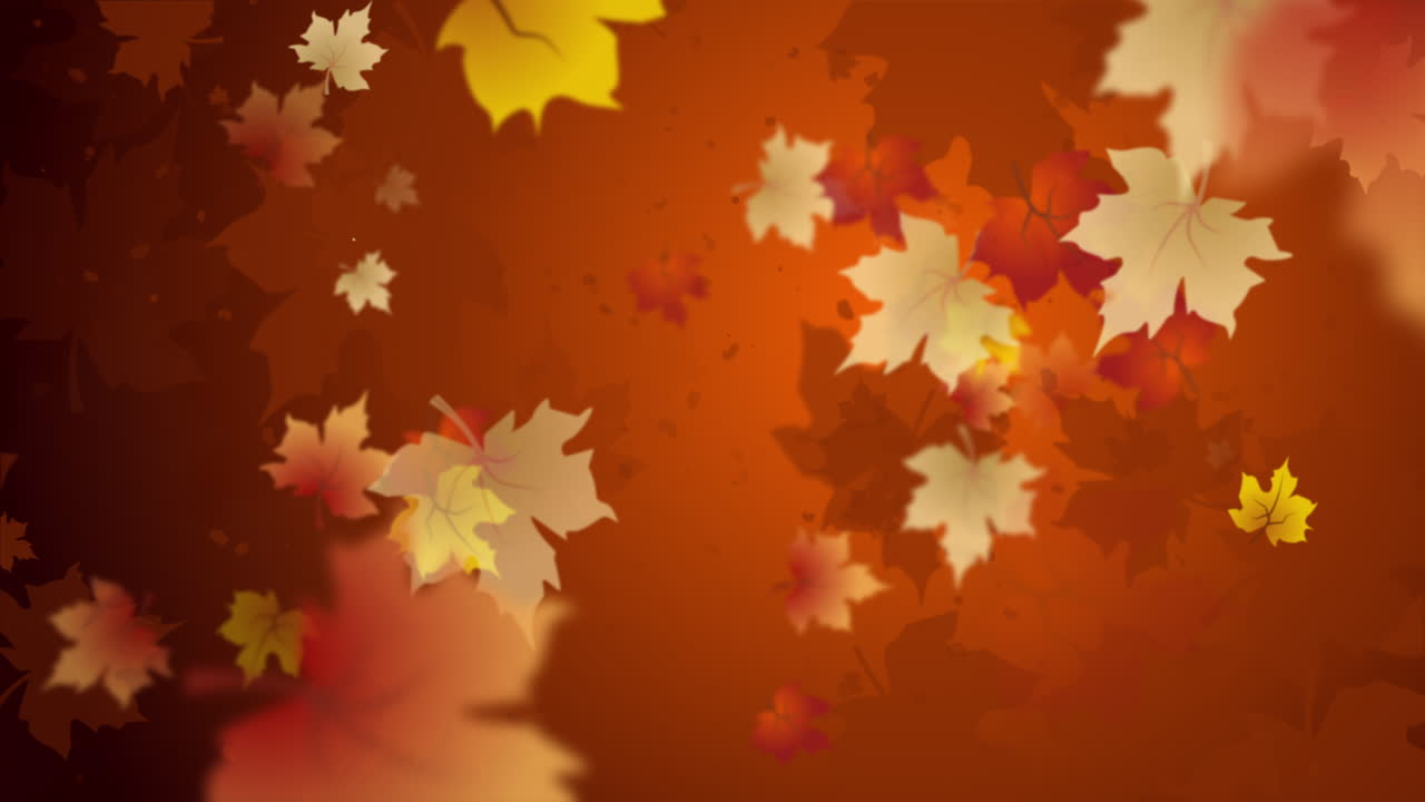 Autumn orange floral background with drawn blurred swirling maple leaves. Looped motion graphics.
