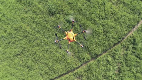 top down aerial view of an orange drone against green grass flying across the frame