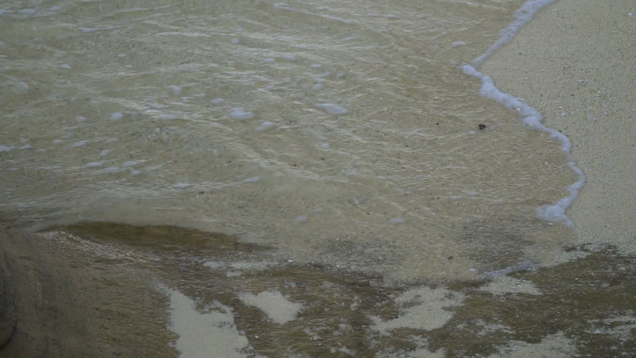 얕은 파도가 이국적인 섬의 모래사장으로 굴러가고 슬로우 모션