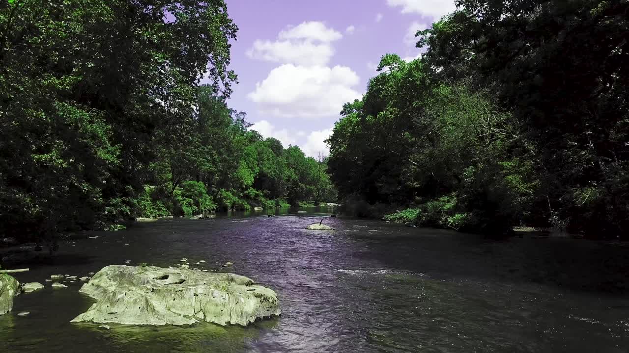 dron 4k yendo río arriba en un río manso