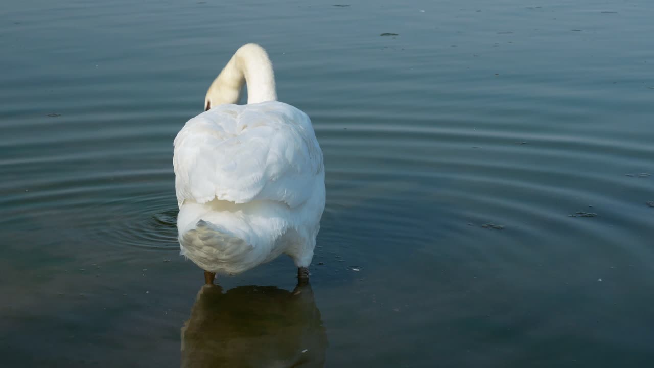 canada lake ontario summer water lakeshore toronto etobicoke water humber