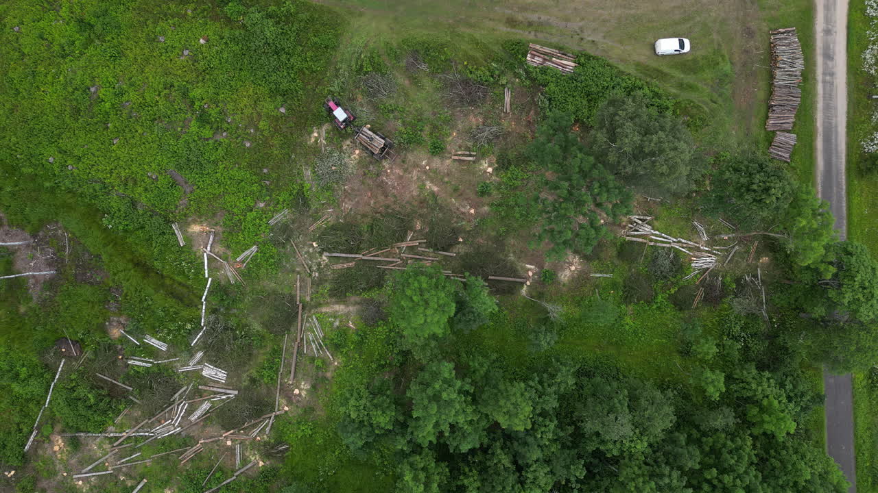 Aerial View of a Forested Area with Logging Activity and Cut Timber