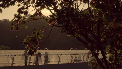 camera descends to reveal backlit wide shot of people walking across the glass bridge in kiev framed by of branches of tree