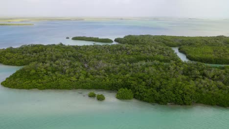 panoramic aerial view of the sian ka'an biosphere reserve