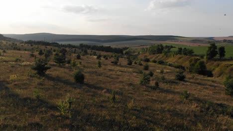 Aerial-View-of-Ukraine-Countryside-During-Sunset-With-Birds-Flying-Through-Frame