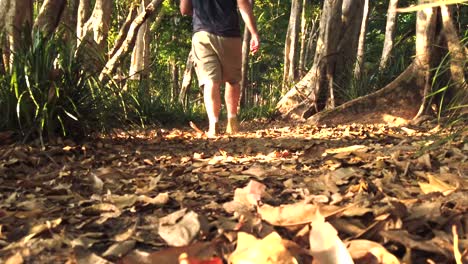 shot-from-ground-level,-man-walking-away-from-camera-in-the-bush