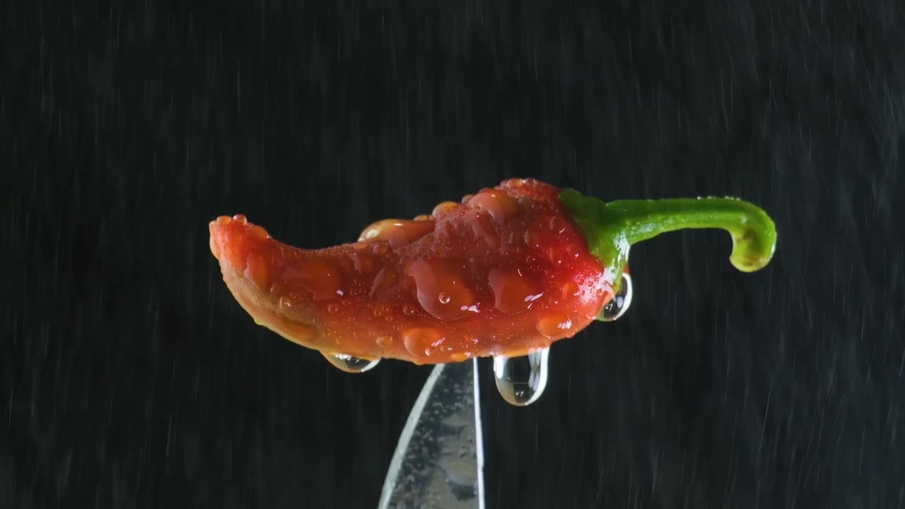 Water drops engulf the pepper as we zoom in for a close-up. Macro of a vibrant, fiery red Bhut Jolokia (Ghost Pepper) on the edge of a knife, covered in water.
