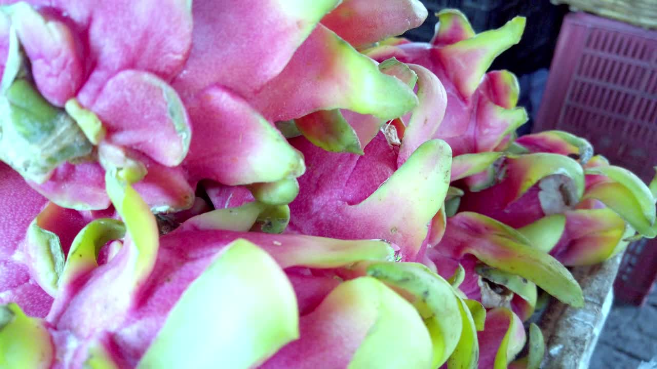 Close-up of vibrant dragon fruit with spikey texture at market stall