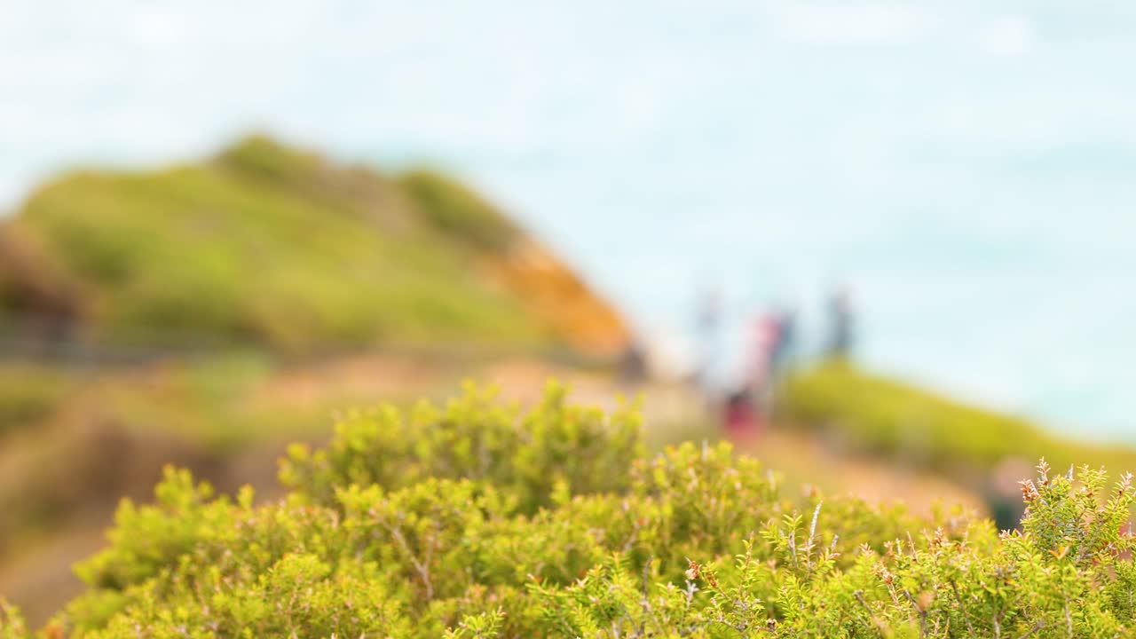 People walking along a coastal path with lush greenery and ocean views, captured in soft focus under natural daylight