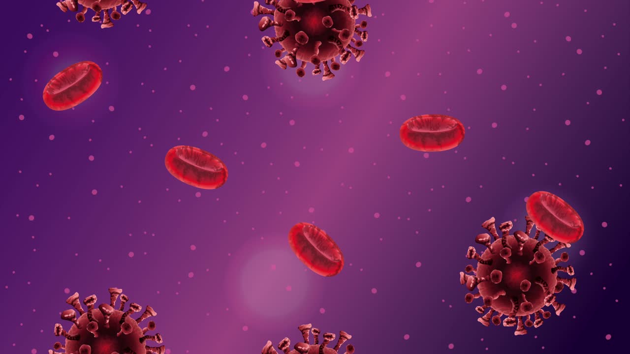covid19 pandemic particles and blood molecules pattern animated