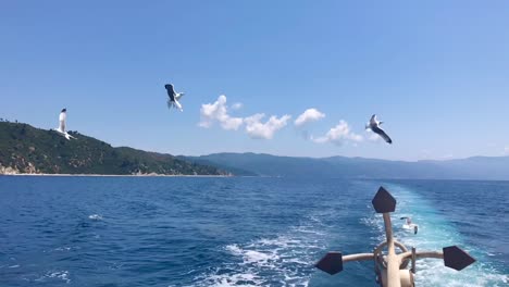 Schwarm-Freundlicher-Möwen-Hinter-Dem-Segelboot-Und-Nahaufnahme-Eines-Großen-Eisernen-Ankers-Auf-Der-Rückseite-Des-Segelschiffs-In-Zeitlupe-In-4k-In-Sithonia-Am-Mittelmeer