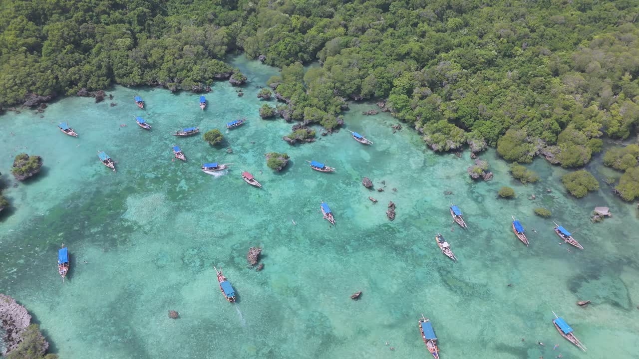 인도양에 있는 탄자니아 잔지바르 섬에 있는 엘의 경이로운 암초.