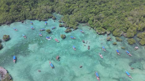 el impresionante arrecife de la isla de zanzíbar, tanzania, en el océano índico