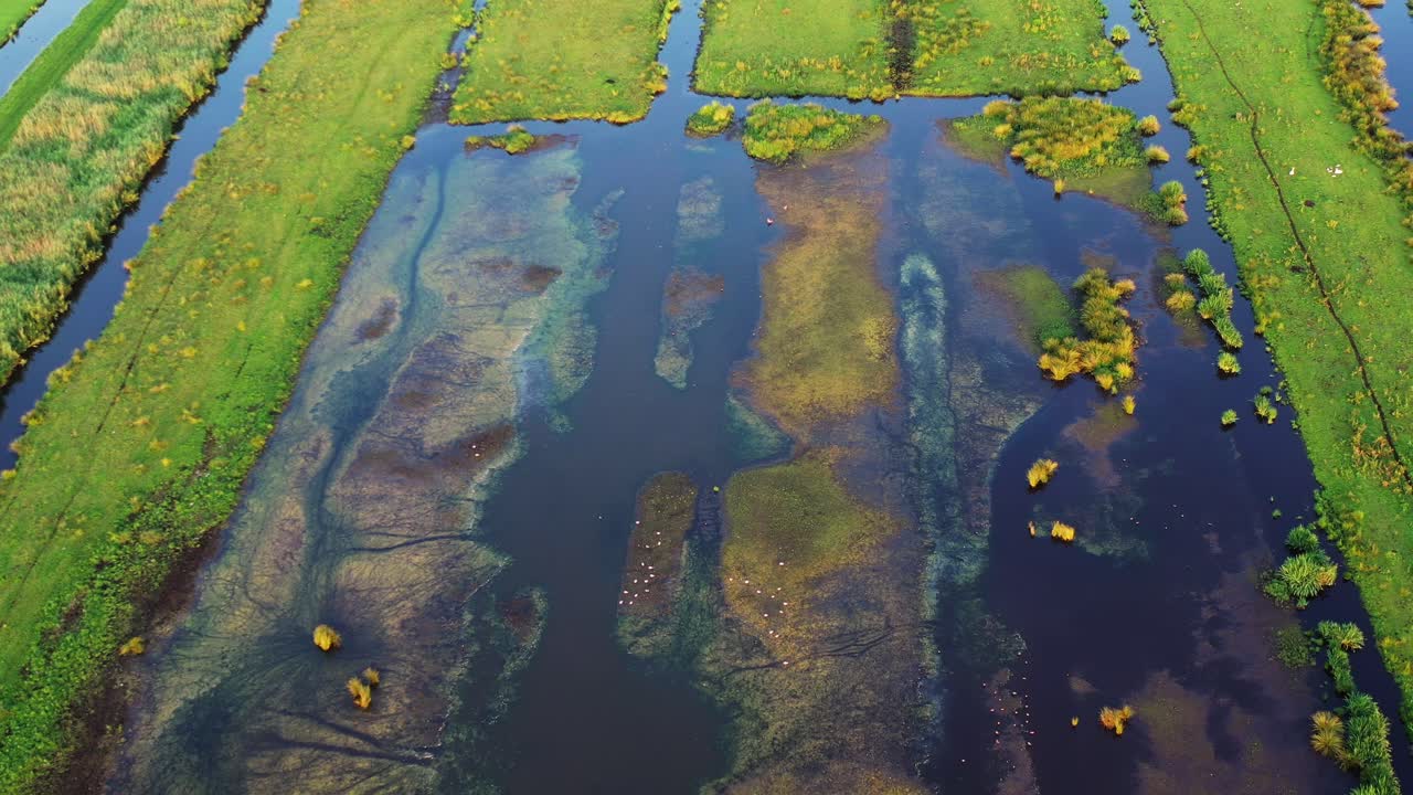 vista aérea de un humedal holandés