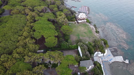 Pine-forest-shot-of-Cardellino-beach,-Castiglioncello