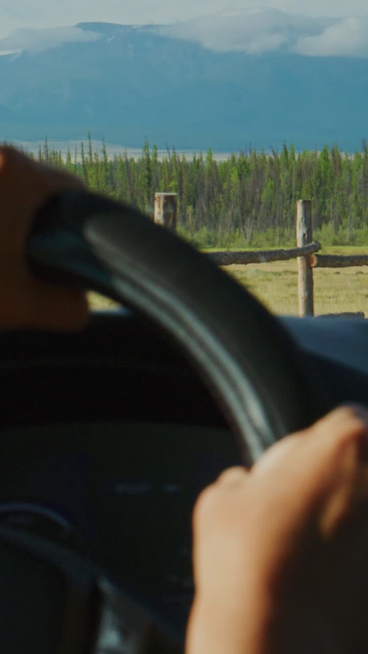 Mani sul volante, alla guida attraverso un paesaggio montano panoramico