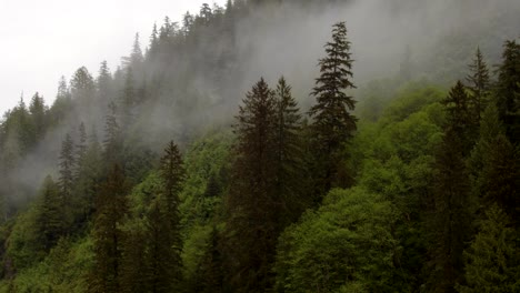 туманные фьорды аляски,
залив рудьерд