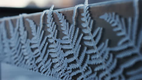 intricate frost patterns on a cold surface
