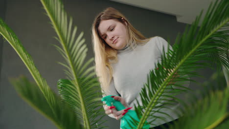 woman spraying a palm plant