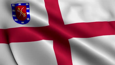 flag of the diocese of guildford