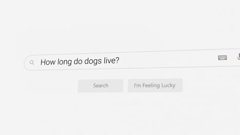 searching for how long do dogs live? on internet browser