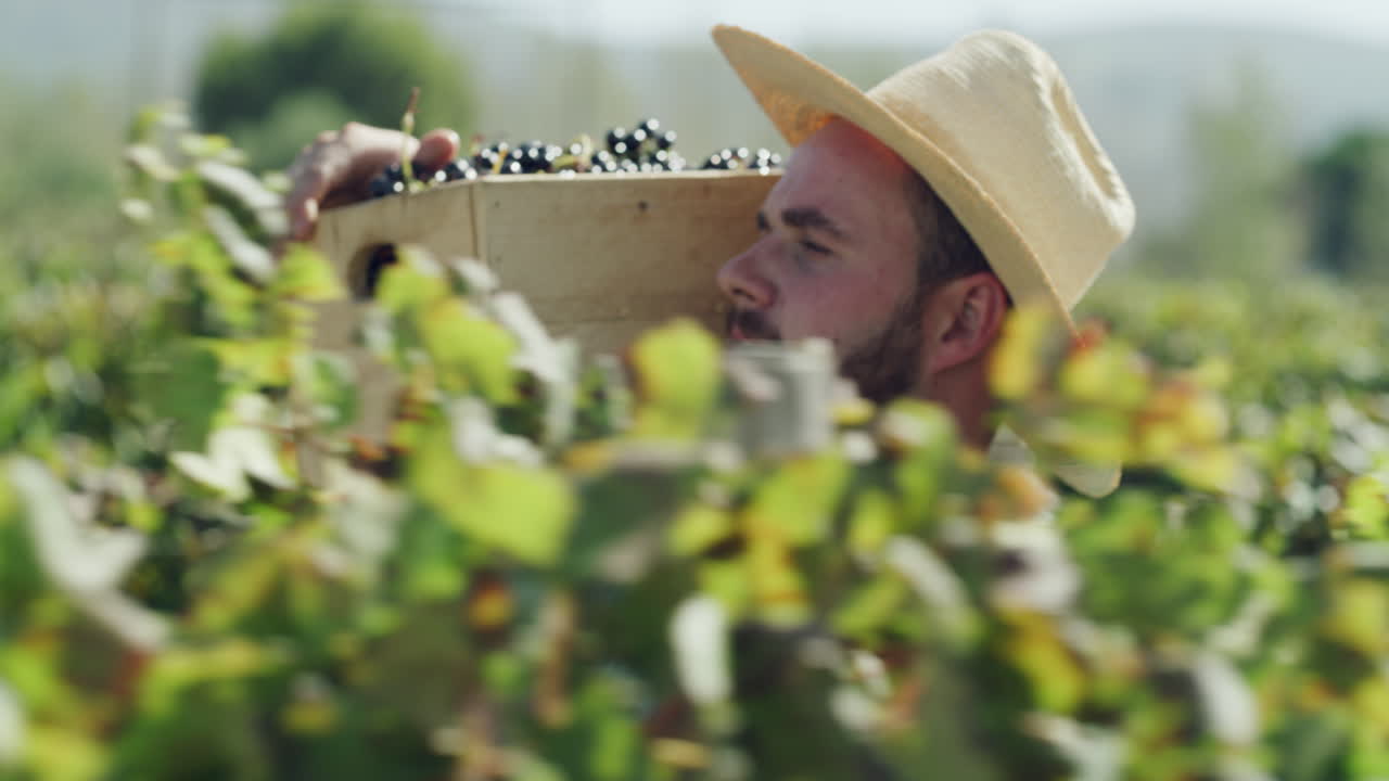 내가 보는 건 위대함뿐이야